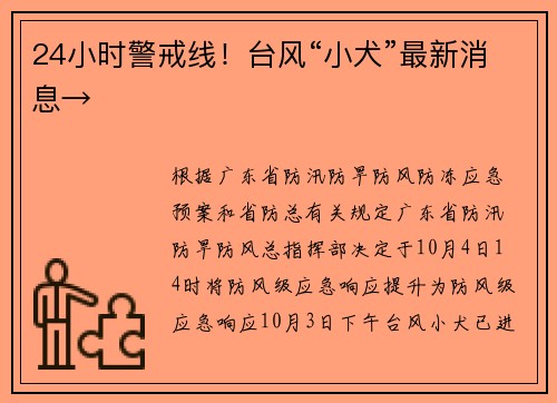 24小时警戒线！台风“小犬”最新消息→
