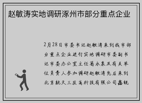 赵敏涛实地调研涿州市部分重点企业