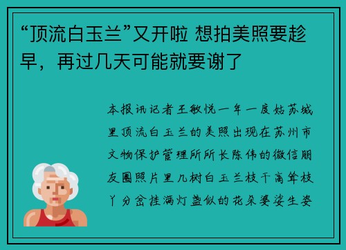 “顶流白玉兰”又开啦 想拍美照要趁早，再过几天可能就要谢了