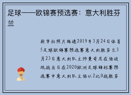 足球——欧锦赛预选赛：意大利胜芬兰